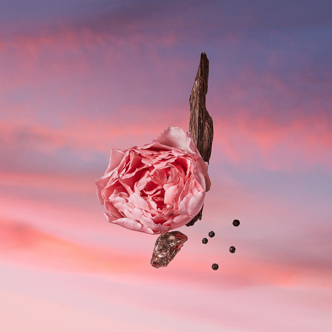 Louis Vuitton Sables Roses