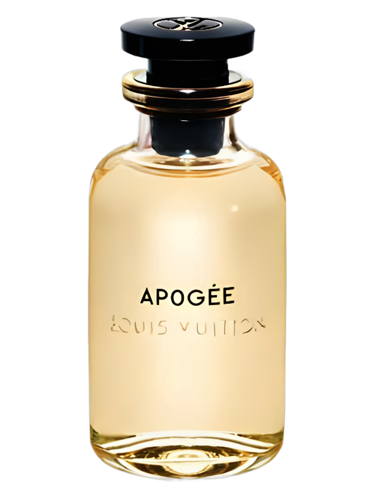 Louis Vuitton Apogée